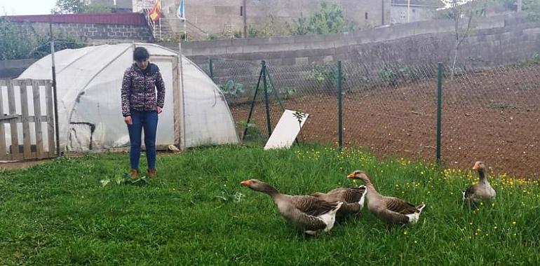 La vida en el pueblo ante el Covid-19