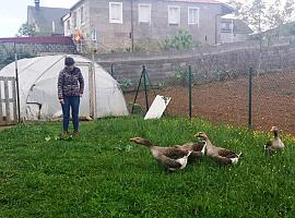 La vida en el pueblo ante el Covid-19