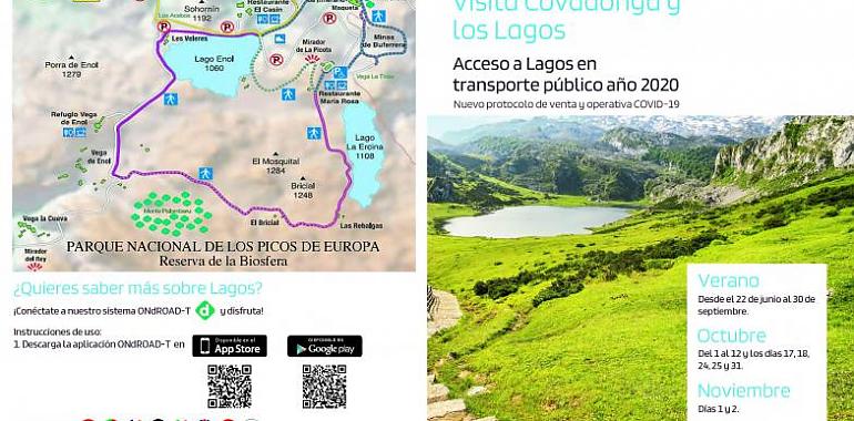 El próximo lunes se activa el plan de transporte a lagos de Covadonga 