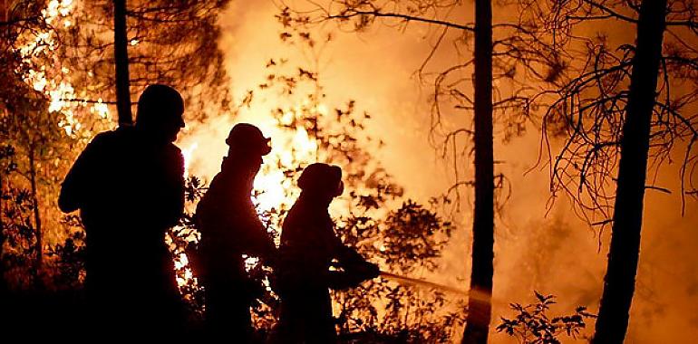 El abandono del medio rural está aumentando la vulnerabilidad ante los incendios forestales