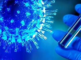 CSIC logra un test que detecta la inmunidad frente a Covid-19 fiable más del 98%