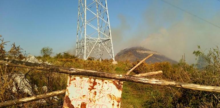 Proyecto piloto silvopastoral en Cabranes para prevenir incendios forestales