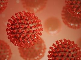 Siete fallecimientos por la covid en Asturias y 92 nuevos casos de coronavirus