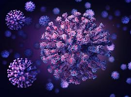 Once nuevas muertes covid en Asturias y 547 nuevos casos de coronavirus