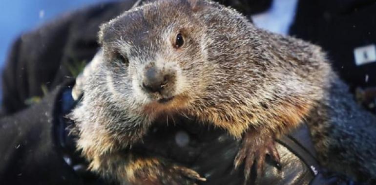 Hoy es el Día de la Marmota: ¿cómo será la primavera