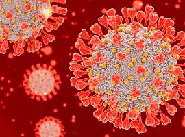 Doce muertes más por la covid en Asturias y 475 nuevos casos de coronavirus