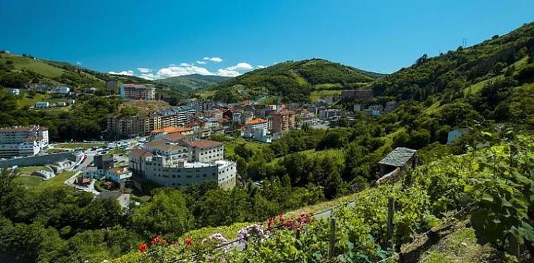 El Principado avanza en la tramitación de seis nuevas concentraciones parcelarias públicas en Cangas del Narcea