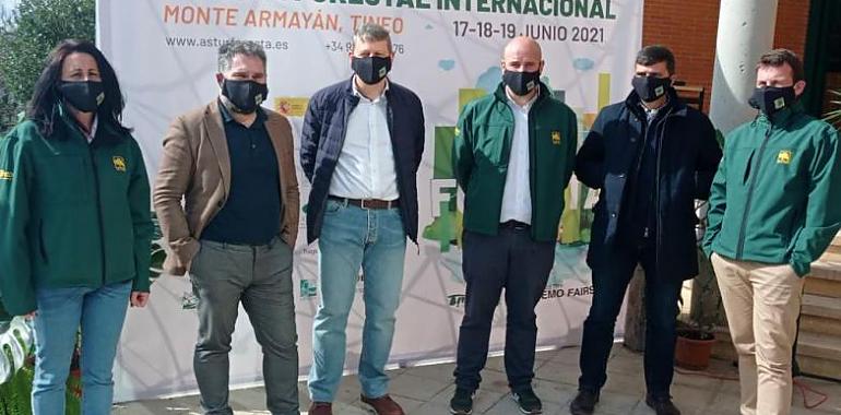 El Principado promocionará en Asturforesta el desarrollo sostenible de bosquesy nuevas producciones forestales