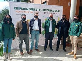 El Principado promocionará en Asturforesta el desarrollo sostenible de bosquesy nuevas producciones forestales