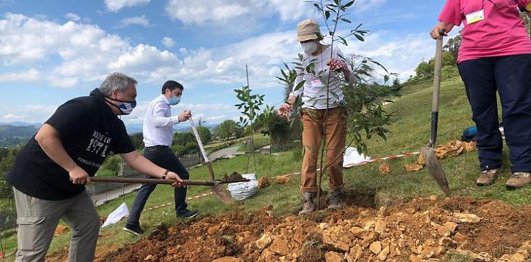 En el proyecto Llanera 36 familias vivirán en un edificio que respeta la sostenibilidad y la eficiencia energética