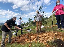 En el proyecto Llanera 36 familias vivirán en un edificio que respeta la sostenibilidad y la eficiencia energética