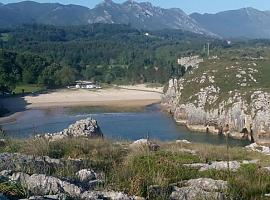 Ecologistas rechazan más plantaciones de eucalipto en Cuevas del Mar