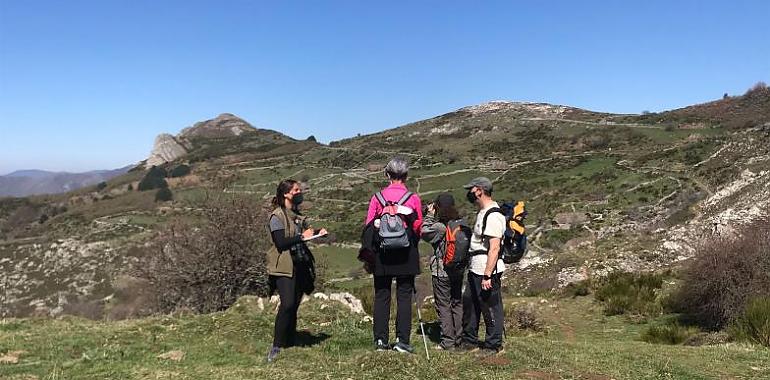 La Fundación Oso de Asturias asesorará a los visitantes en los enclaves naturales con mayor afluencia