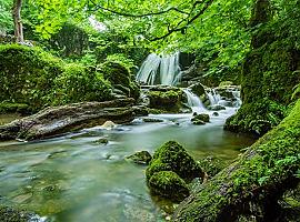 Asturias recibirá casi 8 M€ más para inversiones en biodiversidad y ecosistemas