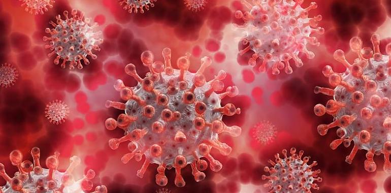 451 nuevos casos de coronavirus y un fallecido por covid en Asturias