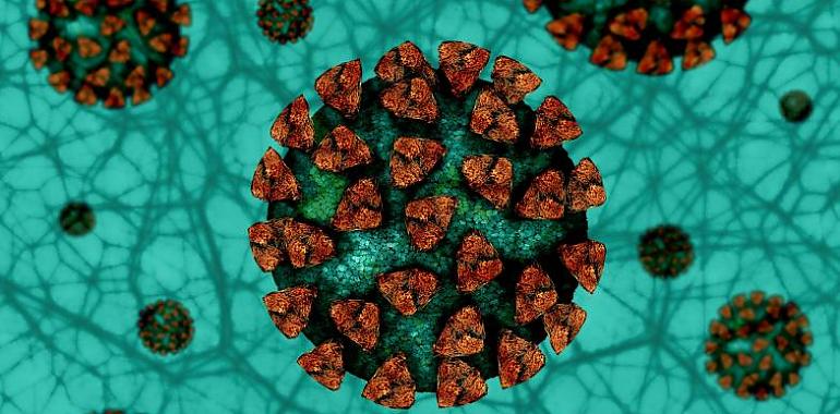 229 nuevos casos de coronavirus en Asturias, aunque con dos fallecimientos por covid