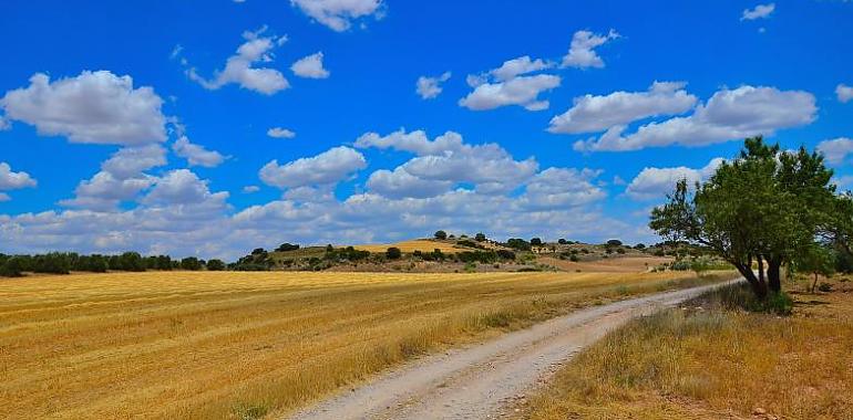 Tras el anuncio de las inversiones en El Prat La España Vaciada denuncia que se sigue promoviendo una España  a dos velocidades