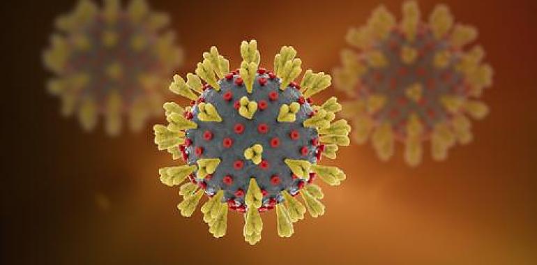 Salud confirma 12 nuevos casos de coronavirus