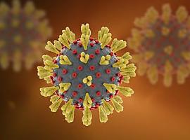 Sólo 15 nuevos casos de coronavirus detectados en Asturias