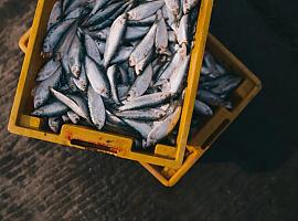 El pescado empieza a subir de manera importante por el incremento de la energía y los carburantes