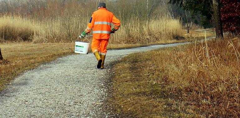 Verdes Equo plantea un plan para limpiar la basura de las carreteras de Asturias