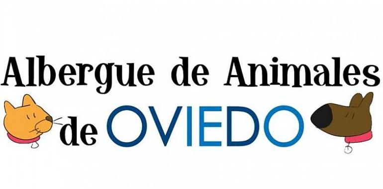 El albergue de animales de Oviedo tendrá nuevos gestores y mejoras sustanciales 