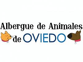 El albergue de animales de Oviedo tendrá nuevos gestores y mejoras sustanciales 