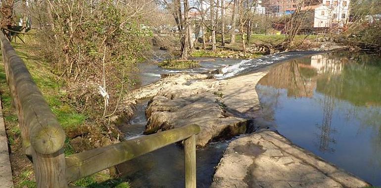 La Confederación Hidrográfica del Cantábrico actúa en varios ríos y arroyos de Siero