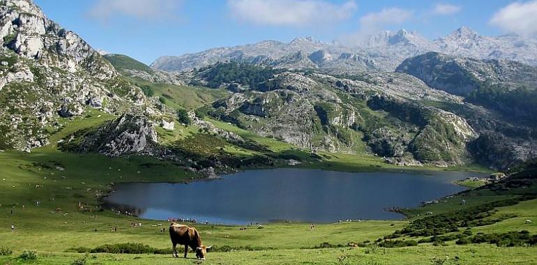 Celebra tu boda en Asturias