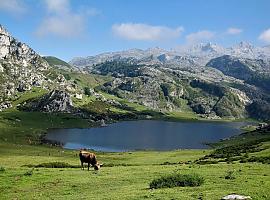 Celebra tu boda en Asturias