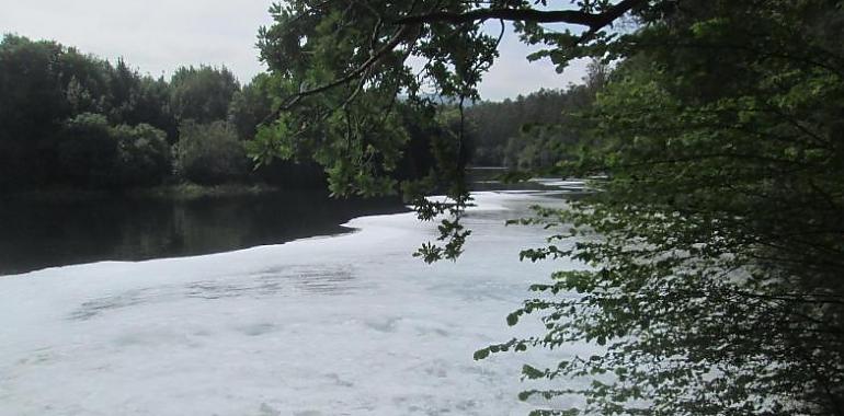 El ecologismo protesta por los nuevos vertidos autorizados a la Ría de Navia