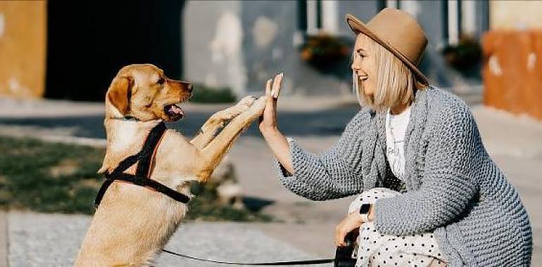 Se acerca San Valentín ¿el amor a tu mascota también cuenta en esto