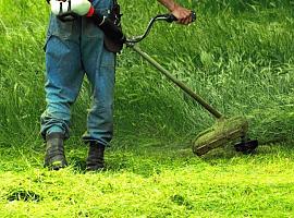 El Ayuntamiento de Gijón/Xixón iniciará mañana lunes los primeros trabajos de desbroce y mantenimiento de las sendas verdes del municipio 