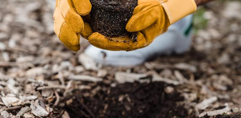 El Gobierno de Asturias aprueba la Ley de Calidad Ambiental