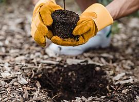 El Gobierno de Asturias aprueba la Ley de Calidad Ambiental