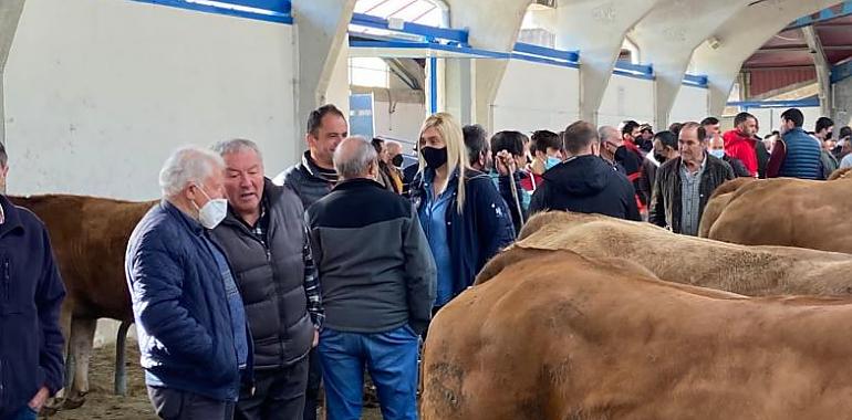 Celebración de la Feria de Ramos en Cangas del Narcea