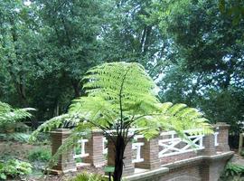 Consejo de Administración del Jardín Botánico Atlántico 