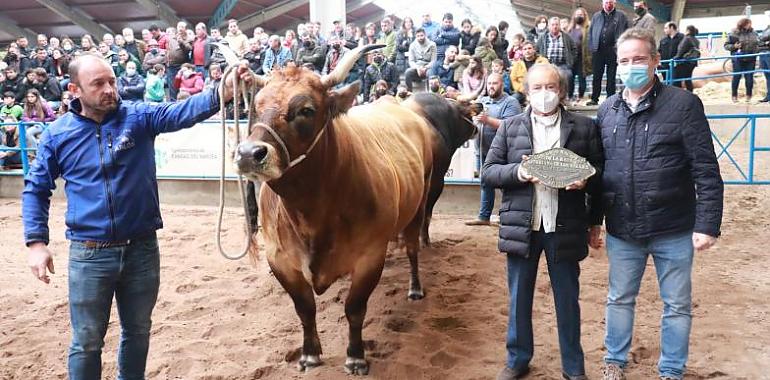 447 reses y 142 ganaderías en la subasta nacional de vaca roxa