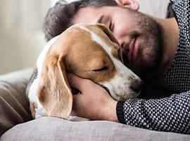 ¿Puedo evitar el contagio de la viruela del mono a mi mascota