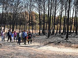 El Gobierno declarará zona catastrófica todos los territorios damnificados por grandes incendios