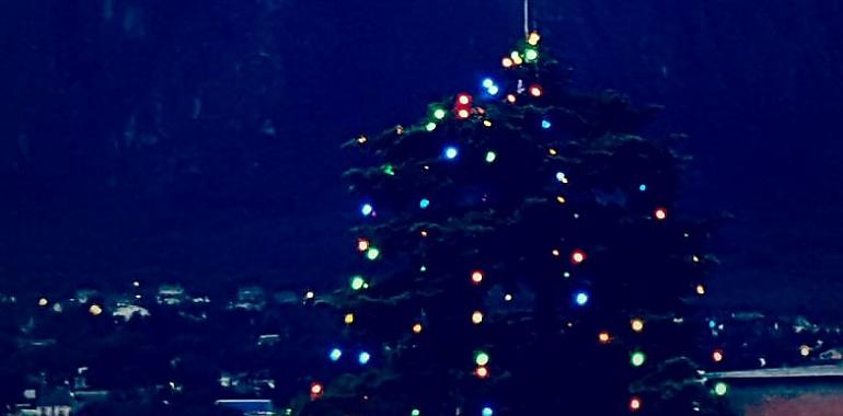 ¿No quieres poner las luces del Árbol de Navidad por el coste de la luz Tranquilo, te costarán unos 86 céntimos toda la Navidad