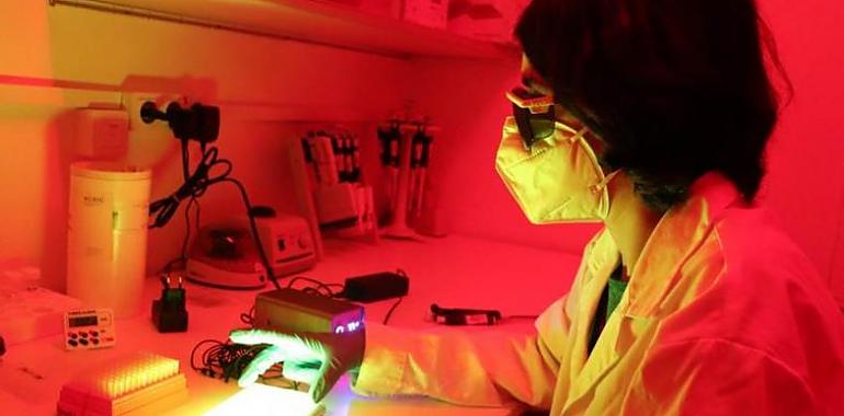 Fármacos activables con luz para futuras terapias de precisión y luchar contra el cáncer y otras enfermedades