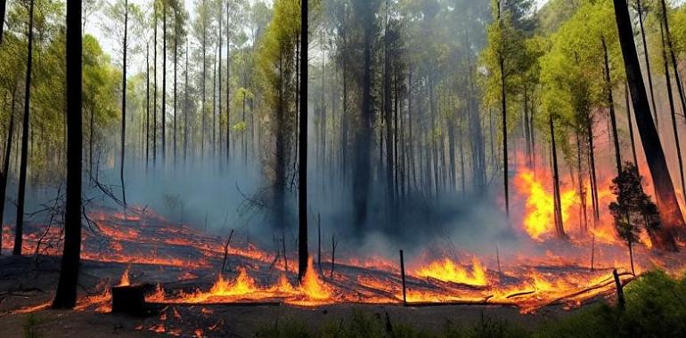 A estas horas se registran en la región 9 incendios forestales en nuestra región