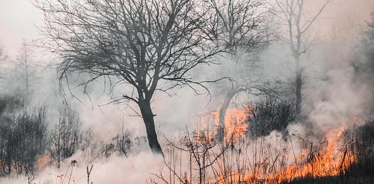 Han descendido desde primera hora los incendios en la región, pero aun asi, se contabilizan 11 en estos momentos