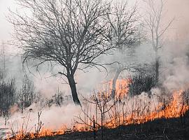 Han descendido desde primera hora los incendios en la región, pero aun asi, se contabilizan 11 en estos momentos