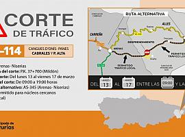 Corte de tráfico la próxima semana en la AS-114 por la obra de estabilización de una ladera en Peñamellera Alta