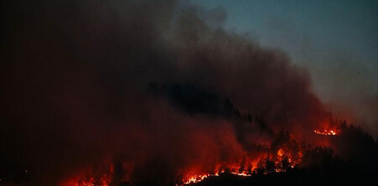 Situación en este momento de los incendios forestales en Asturias