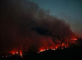 Situación en este momento de los incendios forestales en Asturias