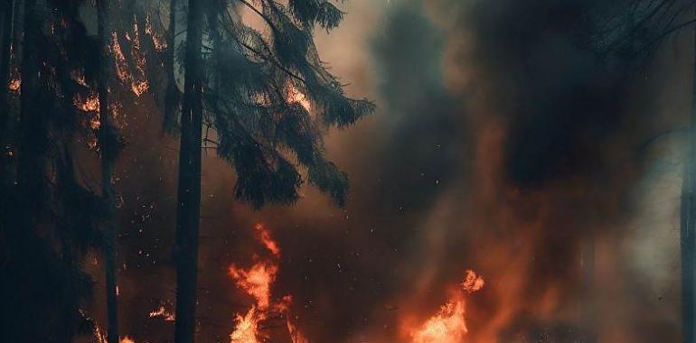 En estos momentos tenemos 27 incendios forestales en 14 concejos asturianos