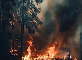 En estos momentos tenemos 27 incendios forestales en 14 concejos asturianos